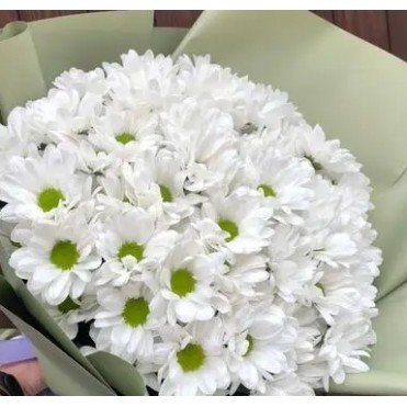 15 белых хризантем