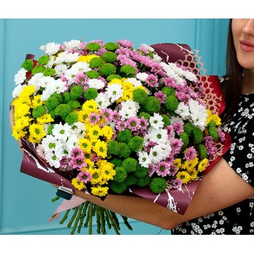 35 хризантем микс 2