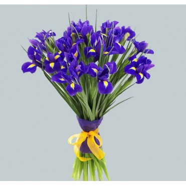 17 сине-фиолетовых ирисов