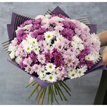 25 хризантем микс