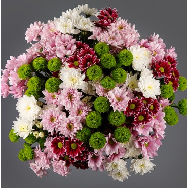 29 хризантем микс 4