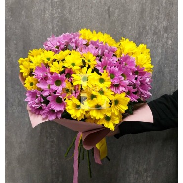 9 хризантем микс