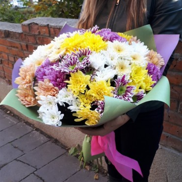 29 хризантем микс 3