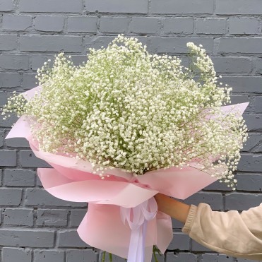 Гипсофила белая Ветка