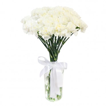 15 гвоздик в ассортименте