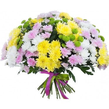 35 хризантем микс