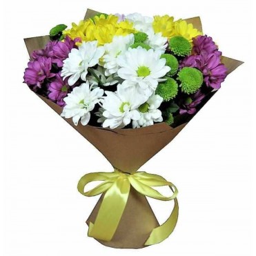 9 хризантем микс 2