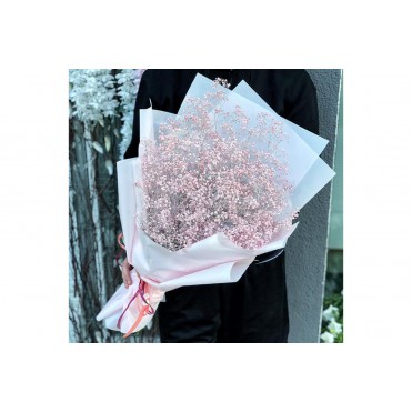 Гипсофила цветная Ветка