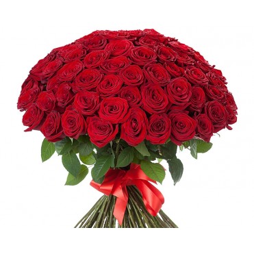 101 красная голландская роза Freedom