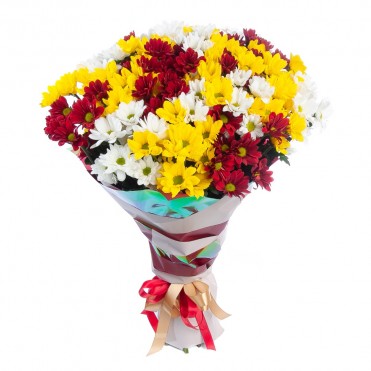 25 хризантем микс 2