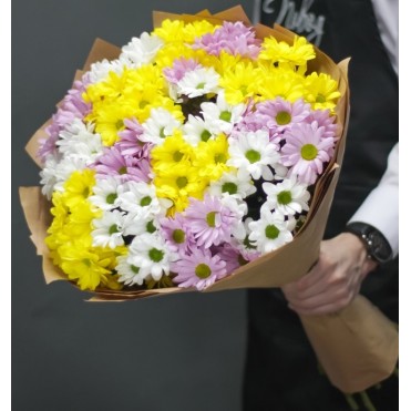 15 хризантем микс 2