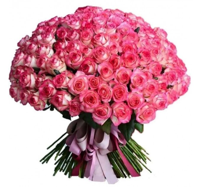 роза джамилия