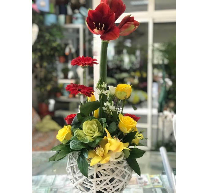 Композиция Great Carmen