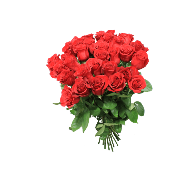 Роза Фридом - Эквадор