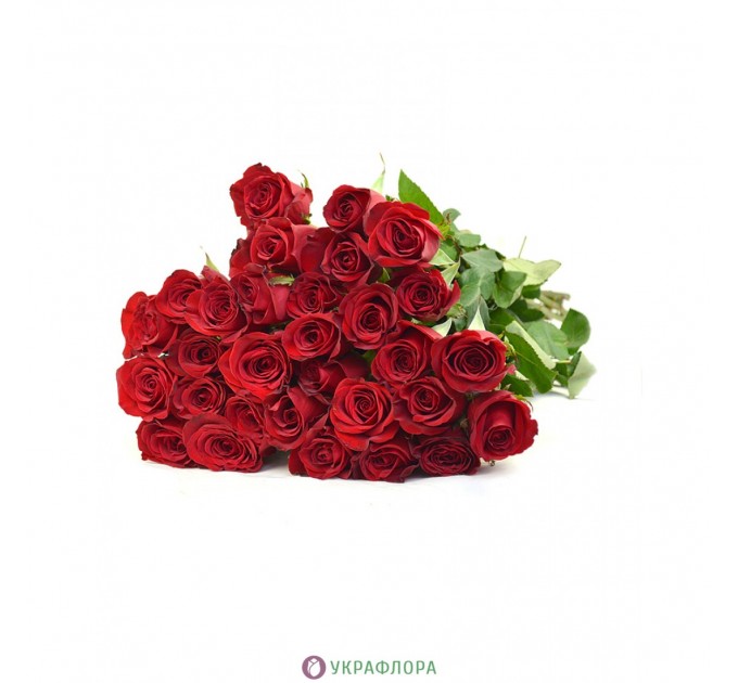 Роза Фридом - Эквадор