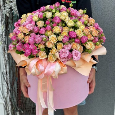 101 кущова Троянда мікс у капелюшній коробці 101 кущова Троянда мікс у капелюшній коробці