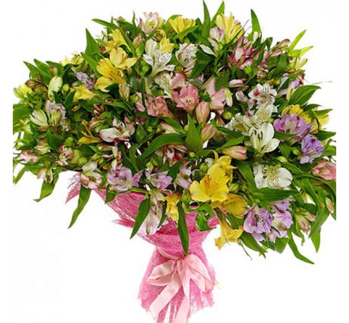 101 альстромерія