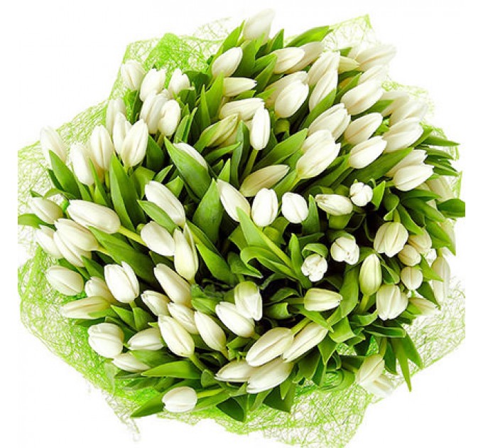 101 білий тюльпан