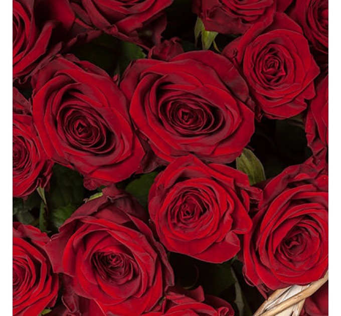 Кошик "101 червона троянда"
