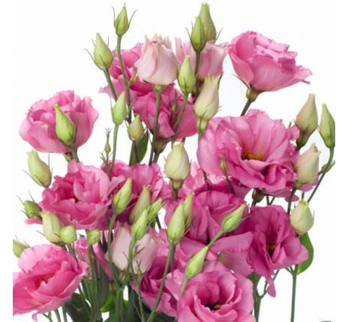 Романтичний букет "Венеція"