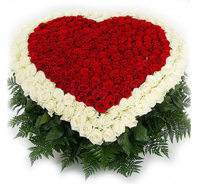 Море троянд