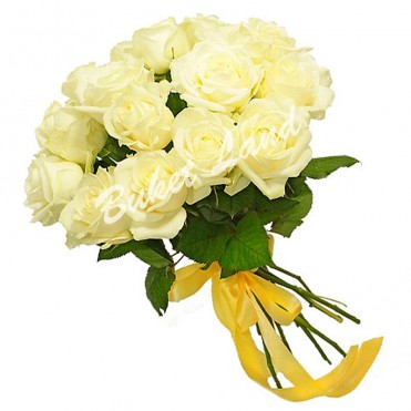 15 белых роз Аваланч 60 см