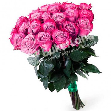 15 эквадорских роз 80 см в ассортименте