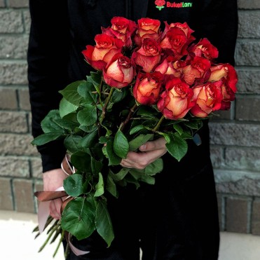 15 эквадорских роз Игуаза 80-90 см