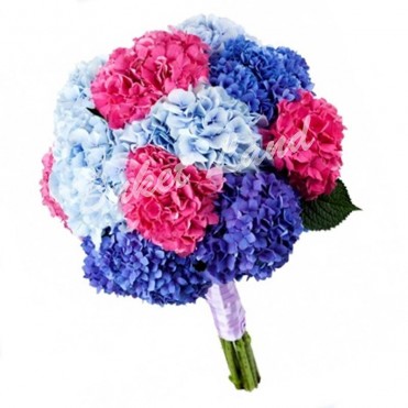 15 гортензій мікс