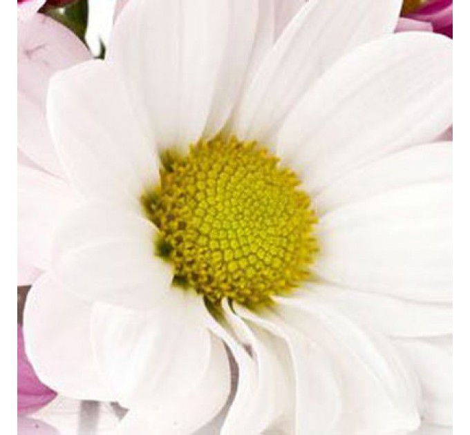 Композиция "С днём знаний!"