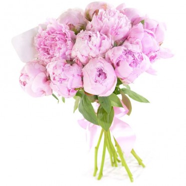 17 розовых пионов