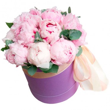 19 півонії мікс у капелюшній коробці