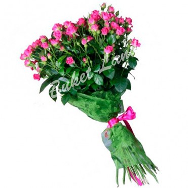 19 розовых роз спрей 60 см