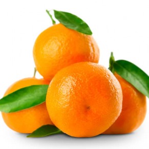 Композиция "Морозко"