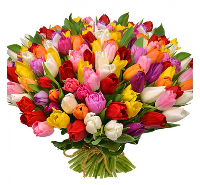 101 кольоровий тюльпан!