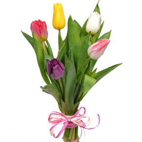 5 різнокольорових тюльпанів