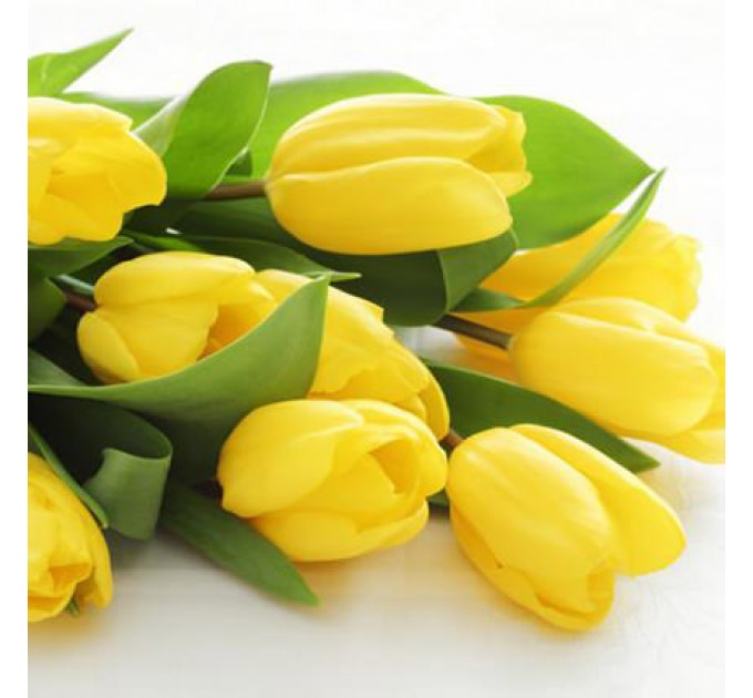15 жовтих тюльпанів