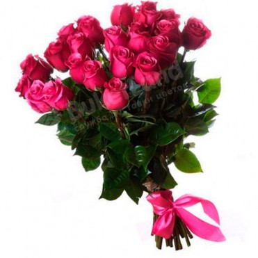 25 эквадорских роз 80 см в ассортименте