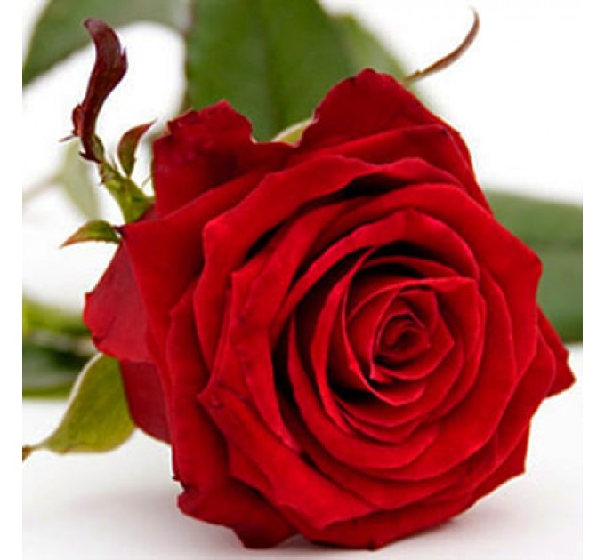 Композиция "Это твой день!"