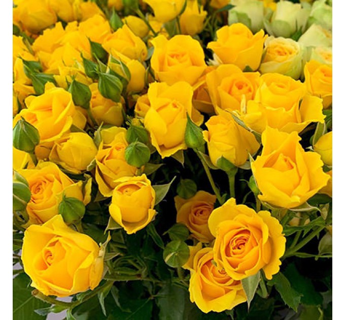 Особливий Букет "Поцілунок на удачу!" - Доставка по Києву