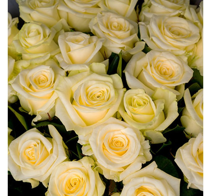 Букет "25 білих троянд"