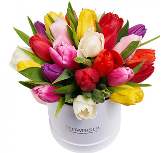 Квіти в коробці "25 різнокольорових тюльпанів"