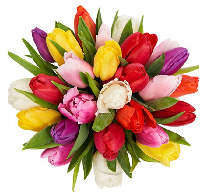 Квіти в коробці "25 різнокольорових тюльпанів"