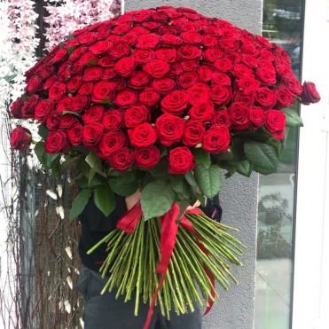 301 Метро червона троянда Еквадор 301 Метро червона троянда Еквадор