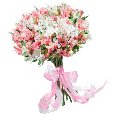 31 альстромерія мікс