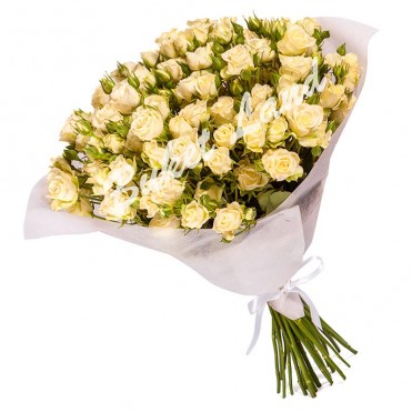 31 біла троянда спрей 60 см