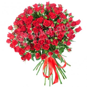 31 красная роза спрей