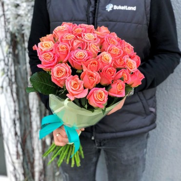 33 розы Мисс Пигги 33 розы Мисс Пигги