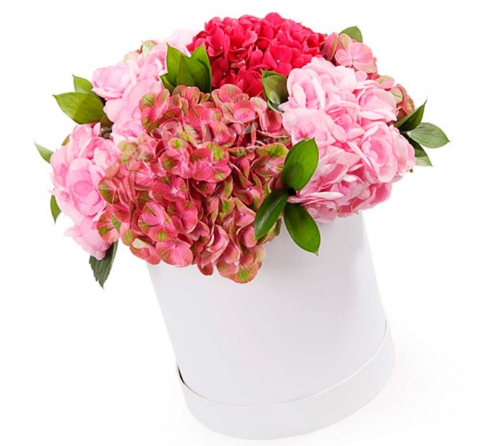 5 гортензій мікс у капелюшній коробці