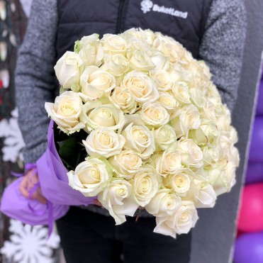 51 біла троянда 60 см